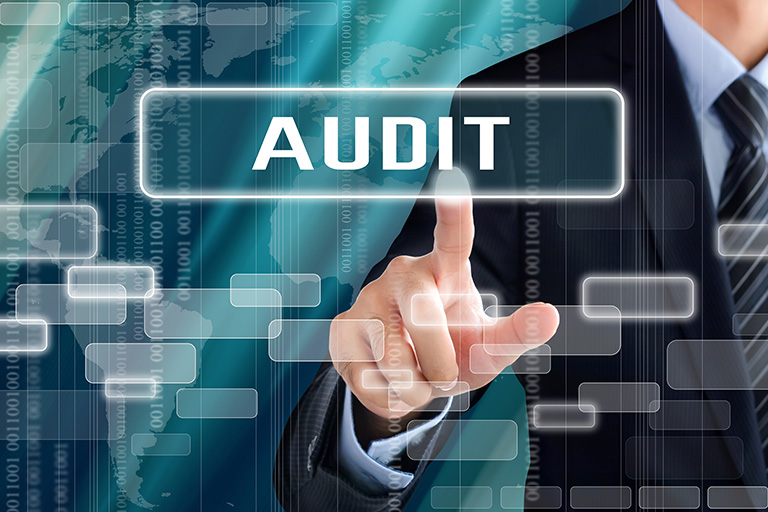 Audits