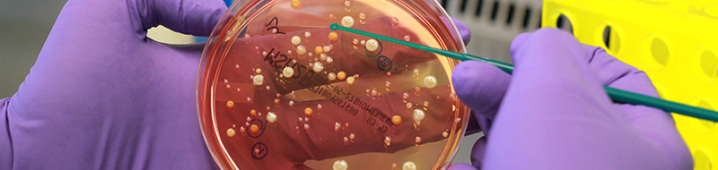 Eurofins BioPharma Product Testing Munich