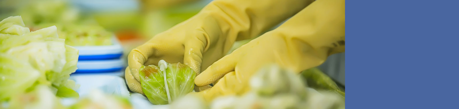 Guantes para el contacto con los alimentos