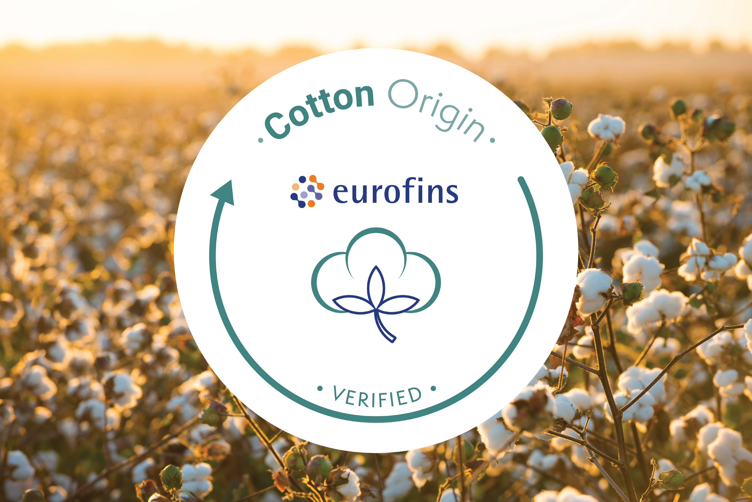 Cotton Origin Verification Testing