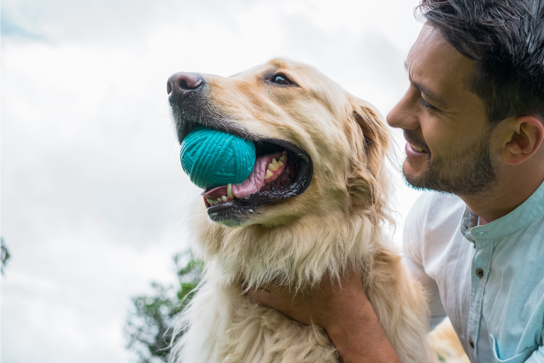 Understand Pet Product Common Failures