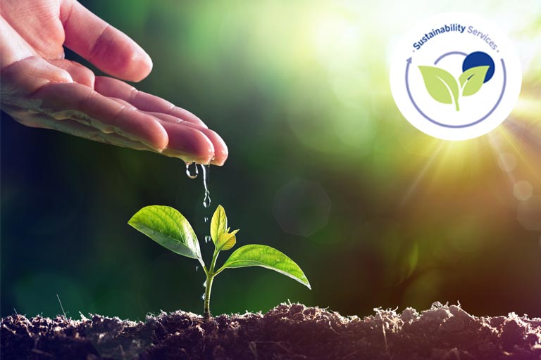 Sustainability Services