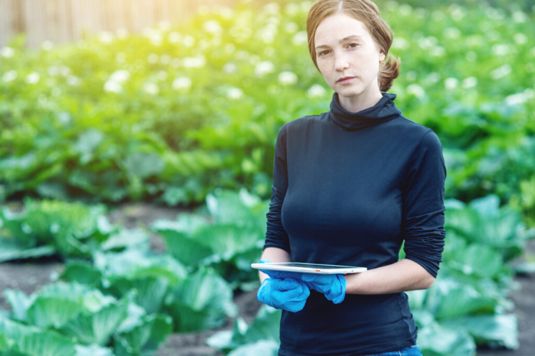 Conceptualization: Testing & Validation